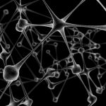 A microscopic view of neurons is seen. They are outlined in white on a black background.