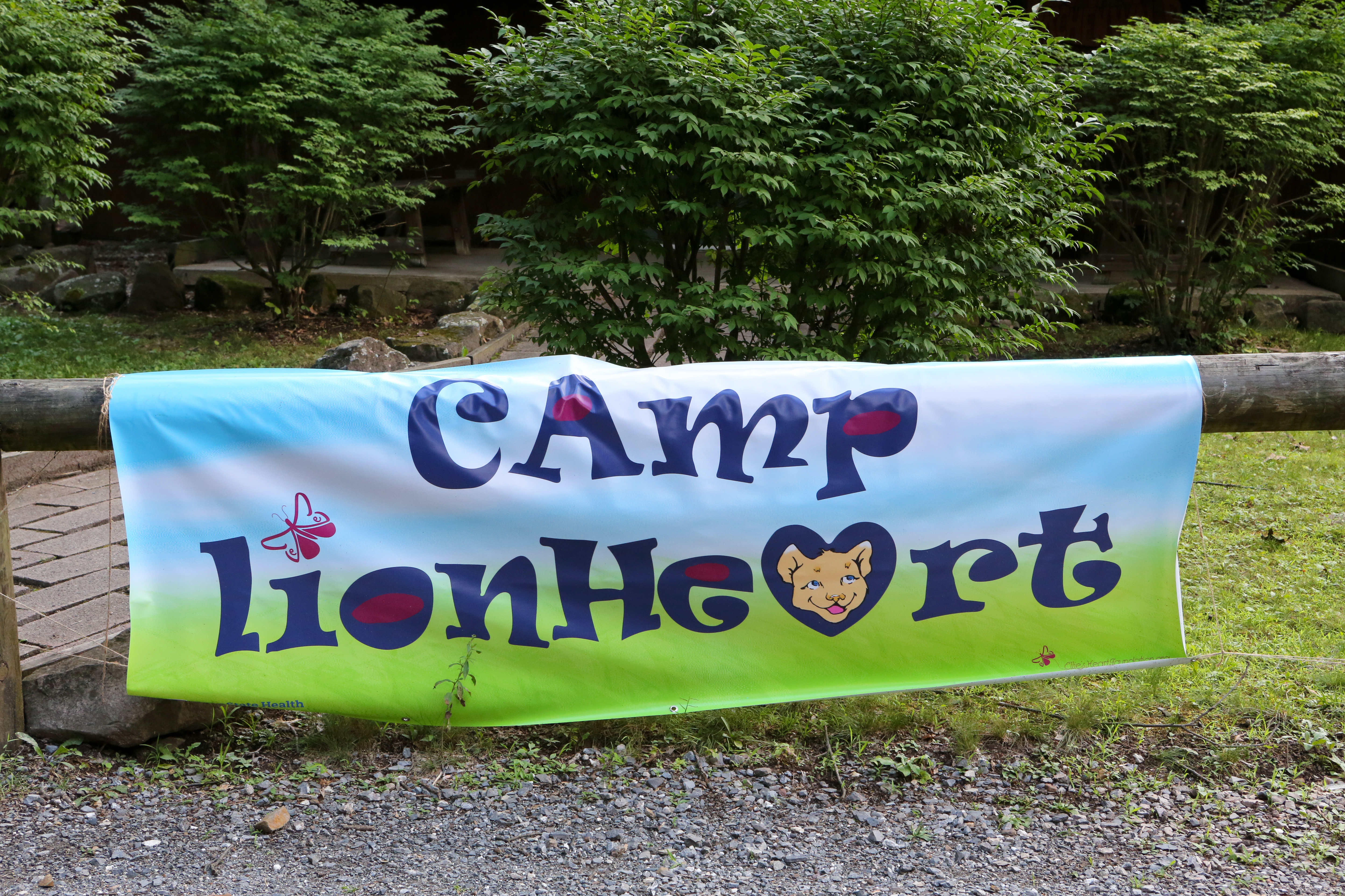 Camp Lionheart