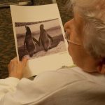 The TimeSlips program uses pictures as creative conversational prompts for people with dementia. An older woman is pictured, seated, holding a piece of paper on which a photo of two penguins is visible. The woman is wearing an oxygen cannula in her nose.