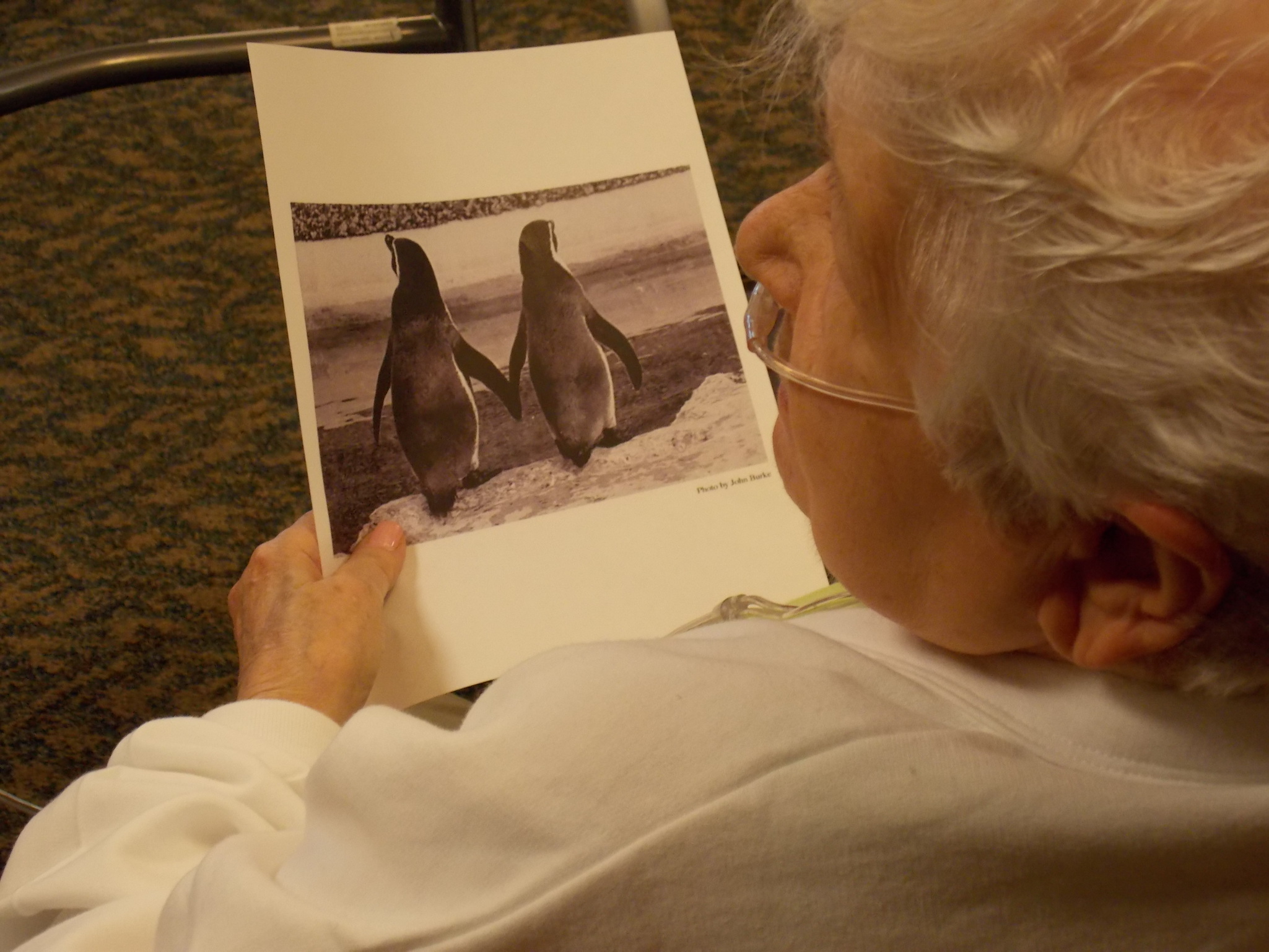 The TimeSlips program uses pictures as creative conversational prompts for people with dementia. An older woman is pictured, seated, holding a piece of paper on which a photo of two penguins is visible. The woman is wearing an oxygen cannula in her nose.