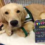 Kaia, a golden retriever, poses for a photo alongside a flyer reading "My first day in Child Life."