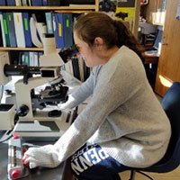 Michelle B. Titunick, PhD candidate in anatomy, is member of Dr. Patricia J. McLaughlin's laboratory.