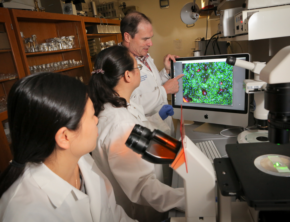 A man in a white coat points to a computer screen that displays an enlarged image from a microscope. Two women in white coats look at the screen, one of them standing at a microscope.