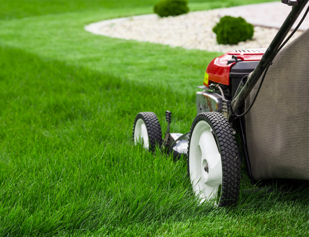 A push-style lawnmower sits in grass, part of which has been mowed, part unmowed.
