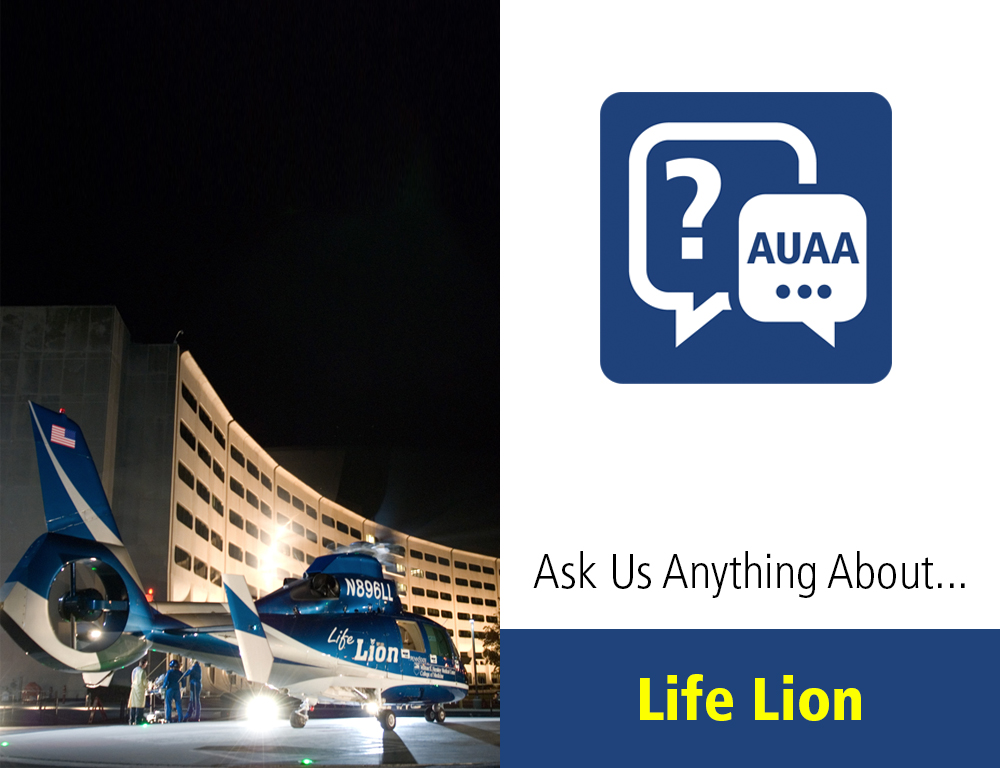 Ask Us Anything About Life Lion
