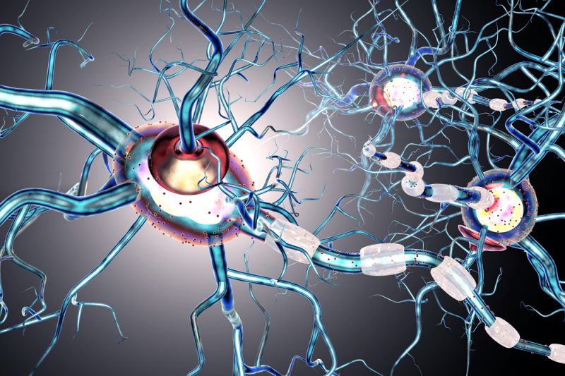 An illustration depicting a microscopic view of nerves, with the nerves illustrated using blue, red, purple and other colors, and the backdrop being mostly gray and black.