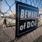 A chain link fence is in the foreground, with a sign that reads ˜Beware of Dog.™ The fence and sign appear slightly out of focus. Through a hole in the fence, a sitting dog is visible and in focus.