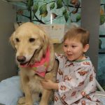 A boy in a hospital gown sits alongside a golden retriever. The boy is smiling; the dog is wearing a pink