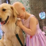 A young girl in a pink dress smiles and hugs a golden retriever, her head placed gently against the dog's neck.