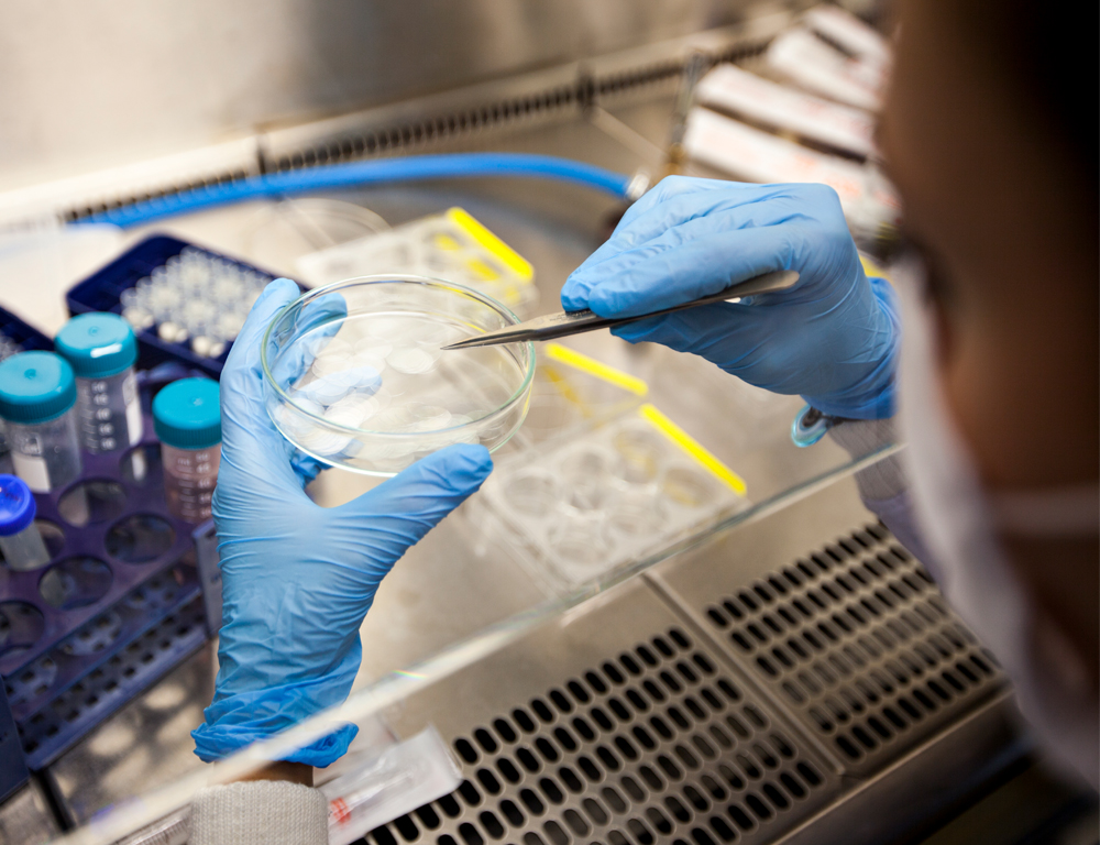 A close-up of a lab technician wearing two gloves, holding a petri dish in the left hand and an instrument in the right hand. Other samples are in the background.