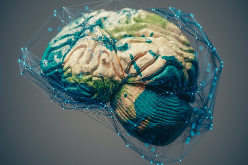 A depiction of a human brain, viewed from the side. Some portions are colored blue and green.