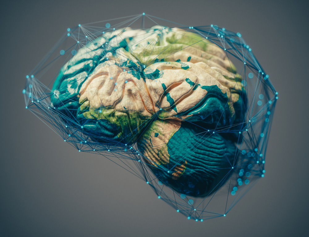 A depiction of a human brain, viewed from the side. Some portions are colored blue and green.