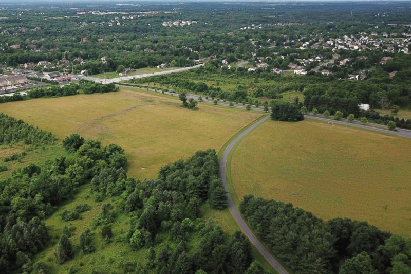 An aerial view of a plot of land. Several trees are in the foreground, while various businesses and homes are visible in the distant background.
