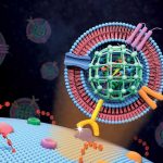 Extracellular vesicle-like metal-organic framework nanoparticles are developed for the intracellular delivery of biofunctional proteins. The biomimetic nanoplatform can protect the protein cargo and overcome various biological barriers to achieve systemic delivery and autonomous release.