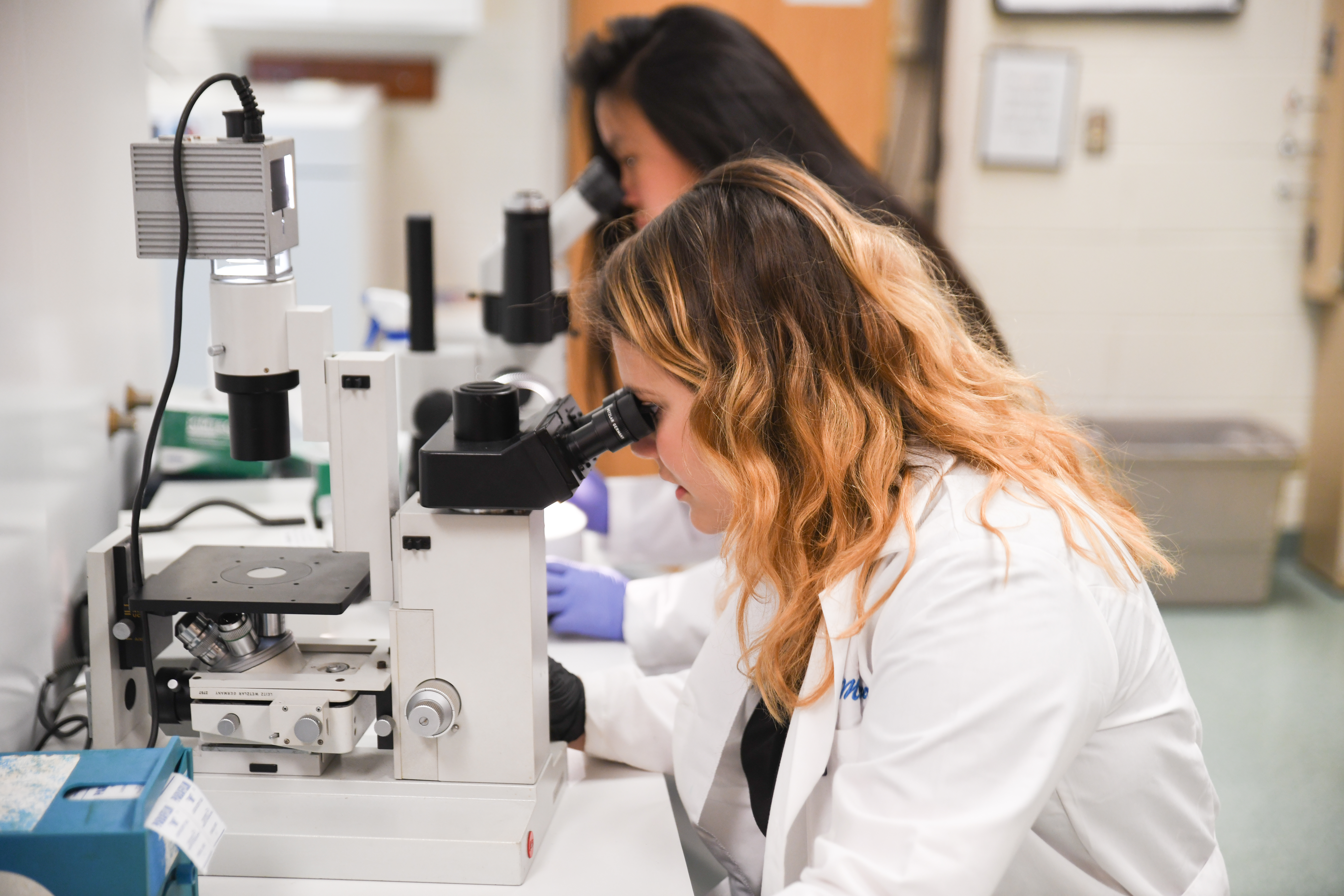 Two teenage girls in a research lab look into microscopes. Both are wearing lab coats and gloves.