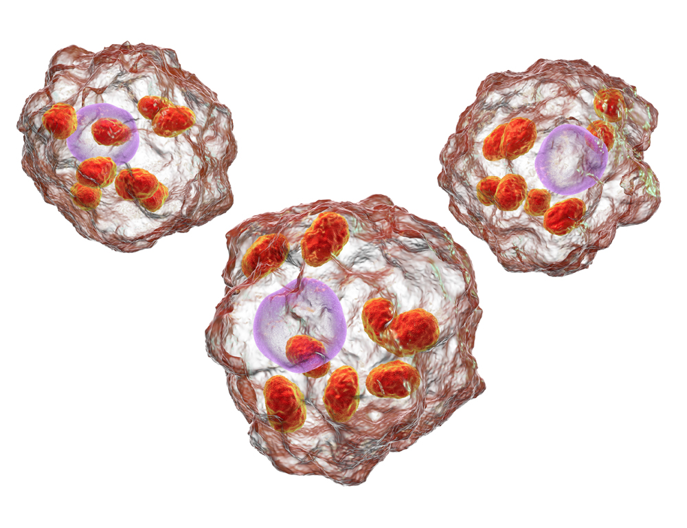 An illustration of three cells, each with various shapes and matter inside them.