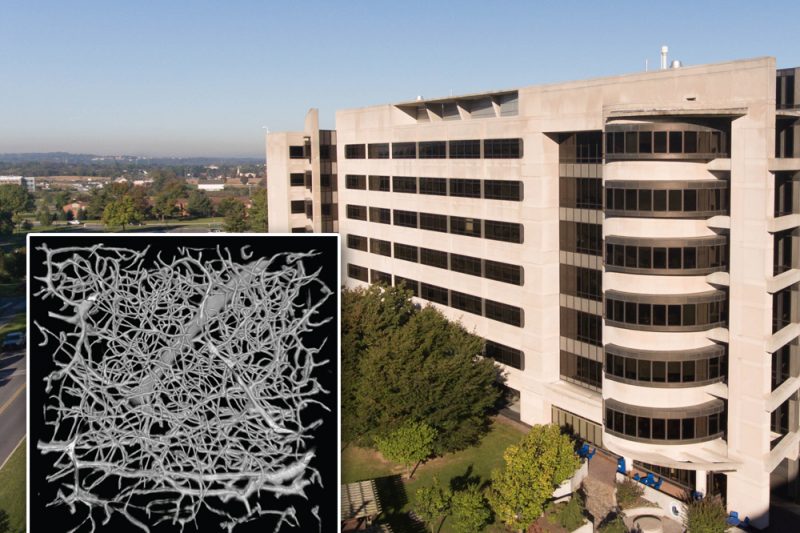 A scan of blood vessels in the brain is superimposed over the lower left-hand corner of an aerial photograph of the Penn State College of Medicine building.