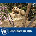 An image of the Penn State Nittany Lion statue is seen through a small clump of trees. The Penn State Health logo appears over the bottom on a solid-colored background.