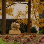 A statue of the Nittany Lion sits in the Penn State College of Medicine courtyard. Trees with fall leaves hang over it. Impatient flowers and a green bush are in the foreground. Behind it is the College of Medicine building.