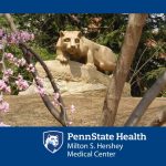 An image of the Penn State Nittany Lion statue is seen through a small clump of trees. The Penn State Health logo appears over the bottom on a solid-colored background.