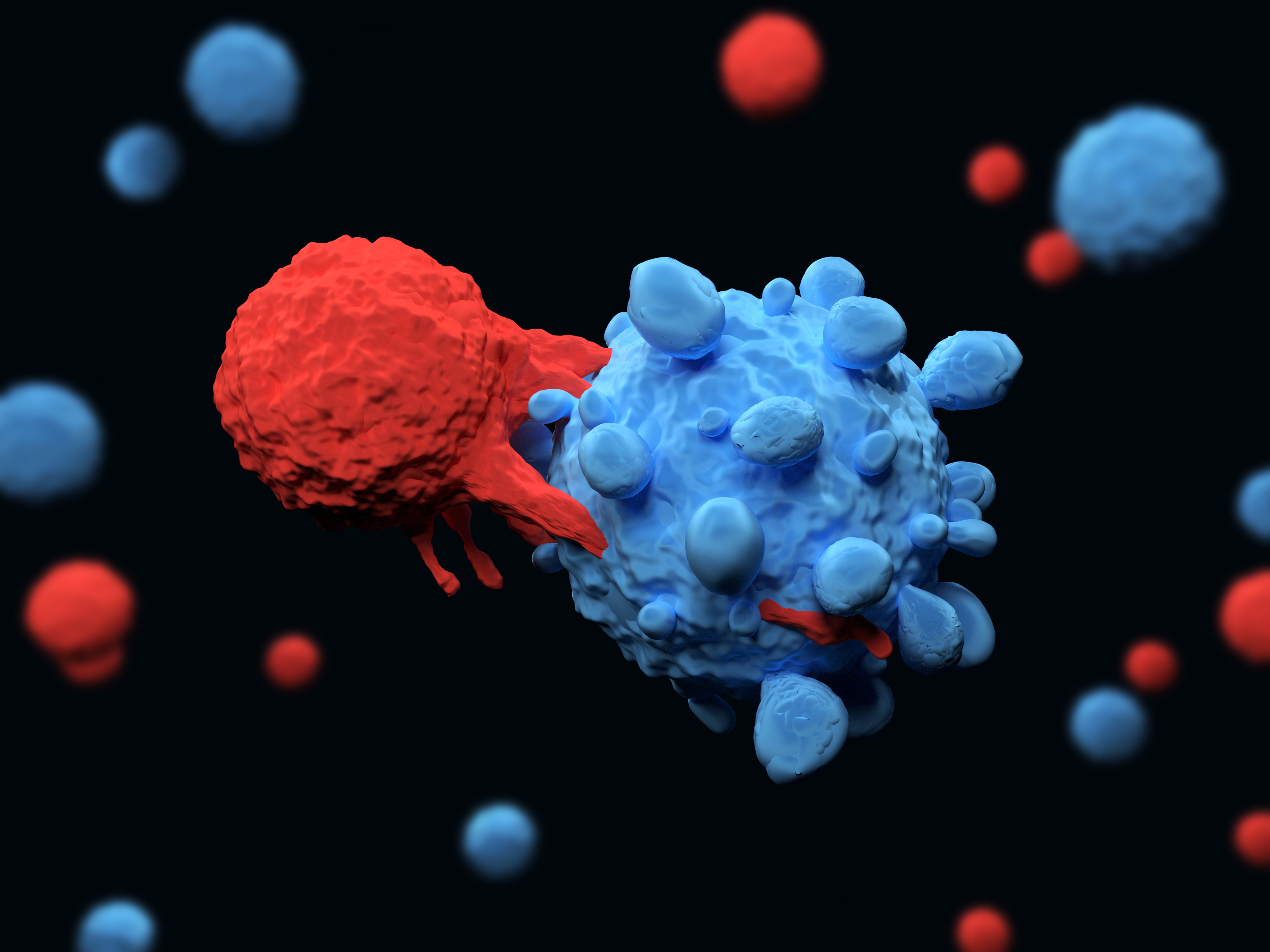 A graphic of a large, round CAR-T cell with oval-shaped protrusions touching a cancer cell. The cancer cell is round and has tentacles resembling an octopus.