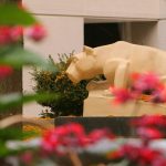 A statue of the Nittany Lion looks toward some flowering bushes. In the foreground, flowers are blooming.