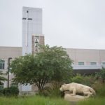 A statue of the Penn State Nittany Lion at the Penn State Health St. Joseph campus appears in profile in front of a row of trees and weeds. Behind the scene rises a glass tower and bells and windows.