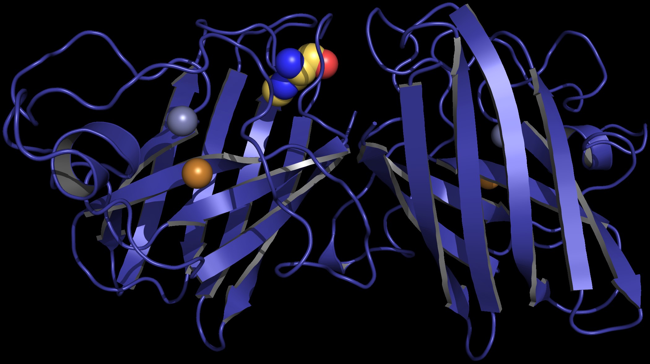A computer-generated model of a protein
