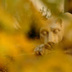A statue of the Nittany Lion is seen through some fall foliage.