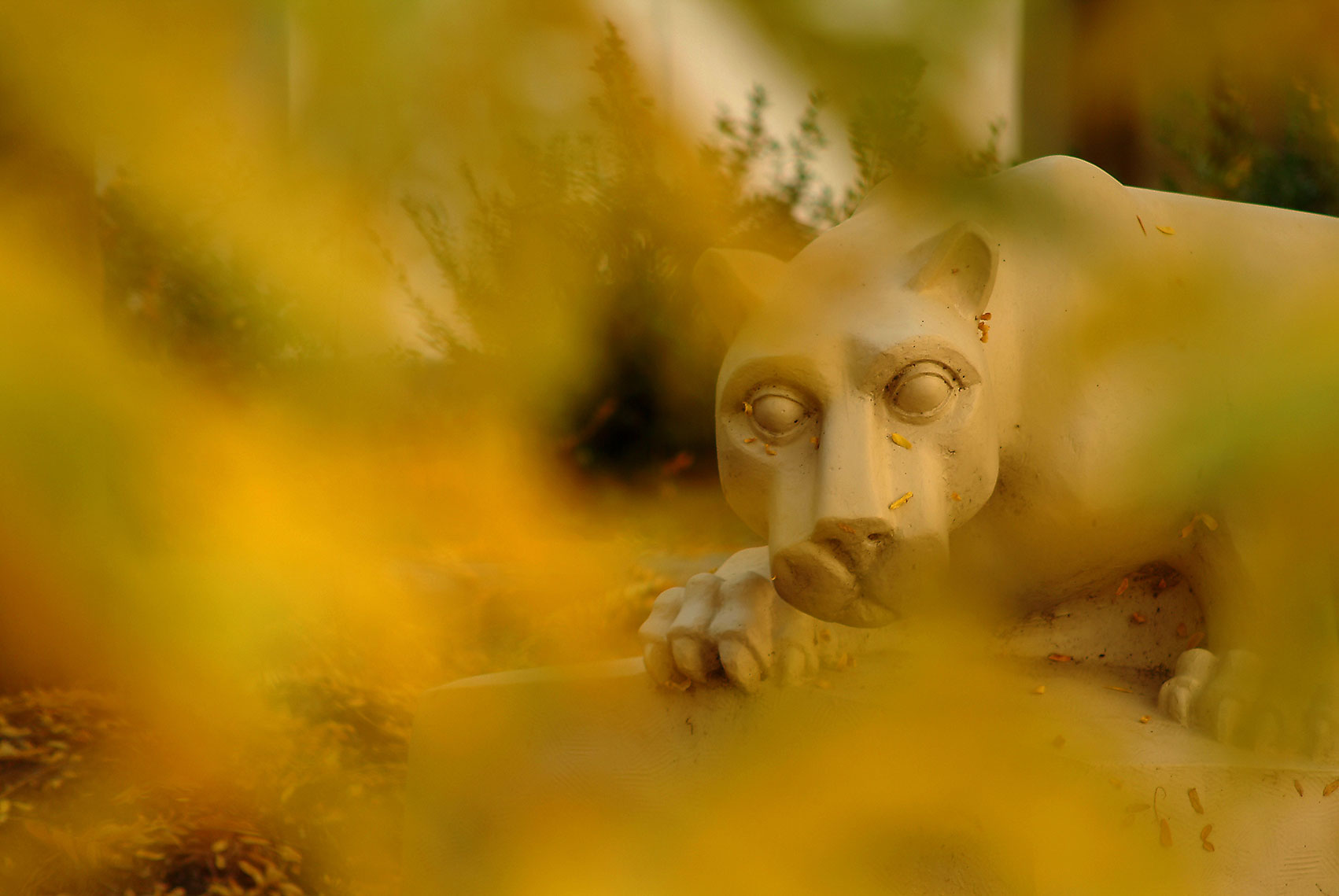A statue of the Nittany Lion is seen through some fall foliage.