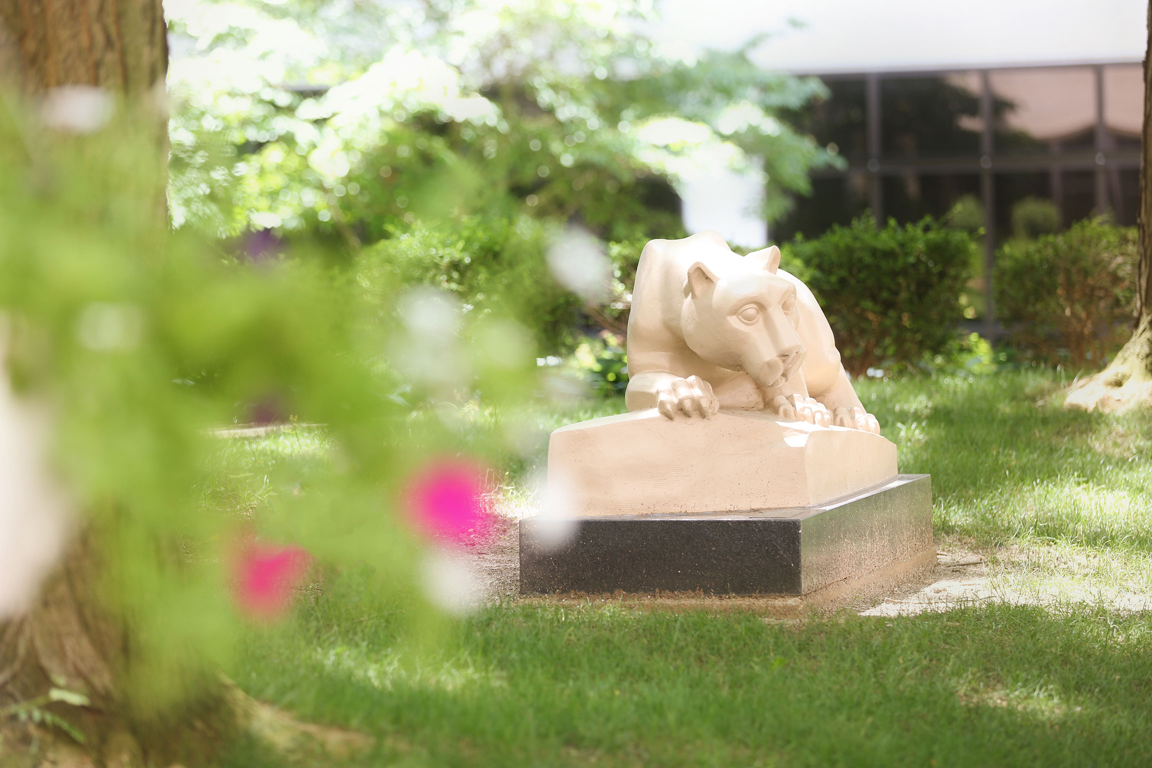 Penn State College of Medicine's Nittany lion statue is seen in a courtyard in the spring.