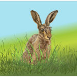A painting by Seamus Carmichael depicts a rabbit with large ears sitting in ta field of grass.