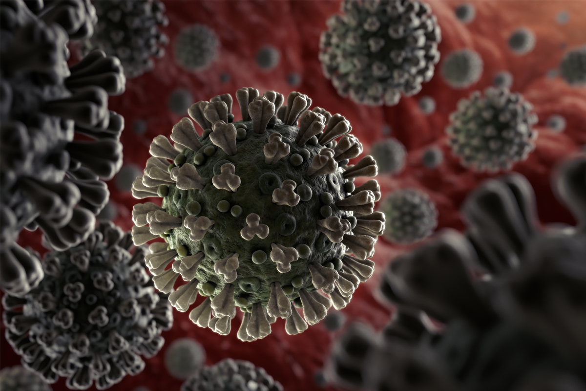 A graphic depiction of a coronavirus, at the microscopic level.