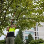 A man who is a Hershey grounds crew member lift a tree trimming tool as he trims the branch of a tree. He is wearing a reflective shirt and baseball cap. Behind him is a tall building with the number 90 on it.