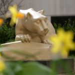 A statue of the Penn State Nittany Lion is seen head-on in a courtyard with daffodils in the foreground. The large cat is crouched with its back arched.