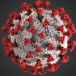 A graphic depiction of a coronavirus, at the microscopic level.