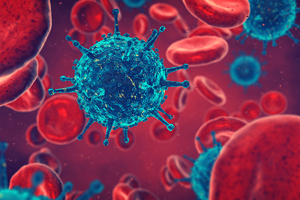 A stock image shows an illustration of blue bacteria surrounded by disc-like red blood cells.