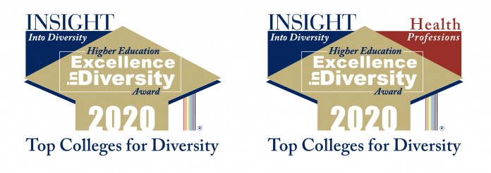 Both logos of the HEED Award are shown – the Insight into Diversity Higher Education Excellence in Diversity Award 2020 and the Health Professions version.