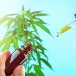 Hand holding CBD oil dropper against Cannabis plant and blue sky