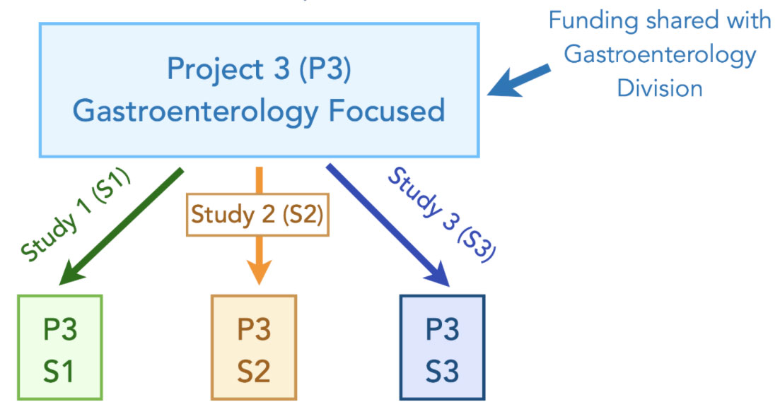 A flowchart begins with a box titled Project 3 (P3), Gastroenterology Focused. Below it are three arrows pointing to three boxes. First arrow is labeled Study 1 (S1). Second arrow is labeled Study 2 (S2). Third arrow is labeled Study 3 (S3). First box says P3 S1. Second box says P3 S2. Third box says P3 S3. Each is a different color. At the top right, an arrow points to the top box and says Funding shared with Gastroenterology Division.
