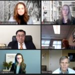 A screen shot of an online conversation is shown, featuring 12 people in individual windows.