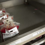 Several units of blood with labels are lined up in a metal tray.