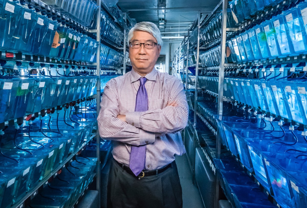 Keith Cheng stands in the College of Medicine's zebrafish functional genomics core.