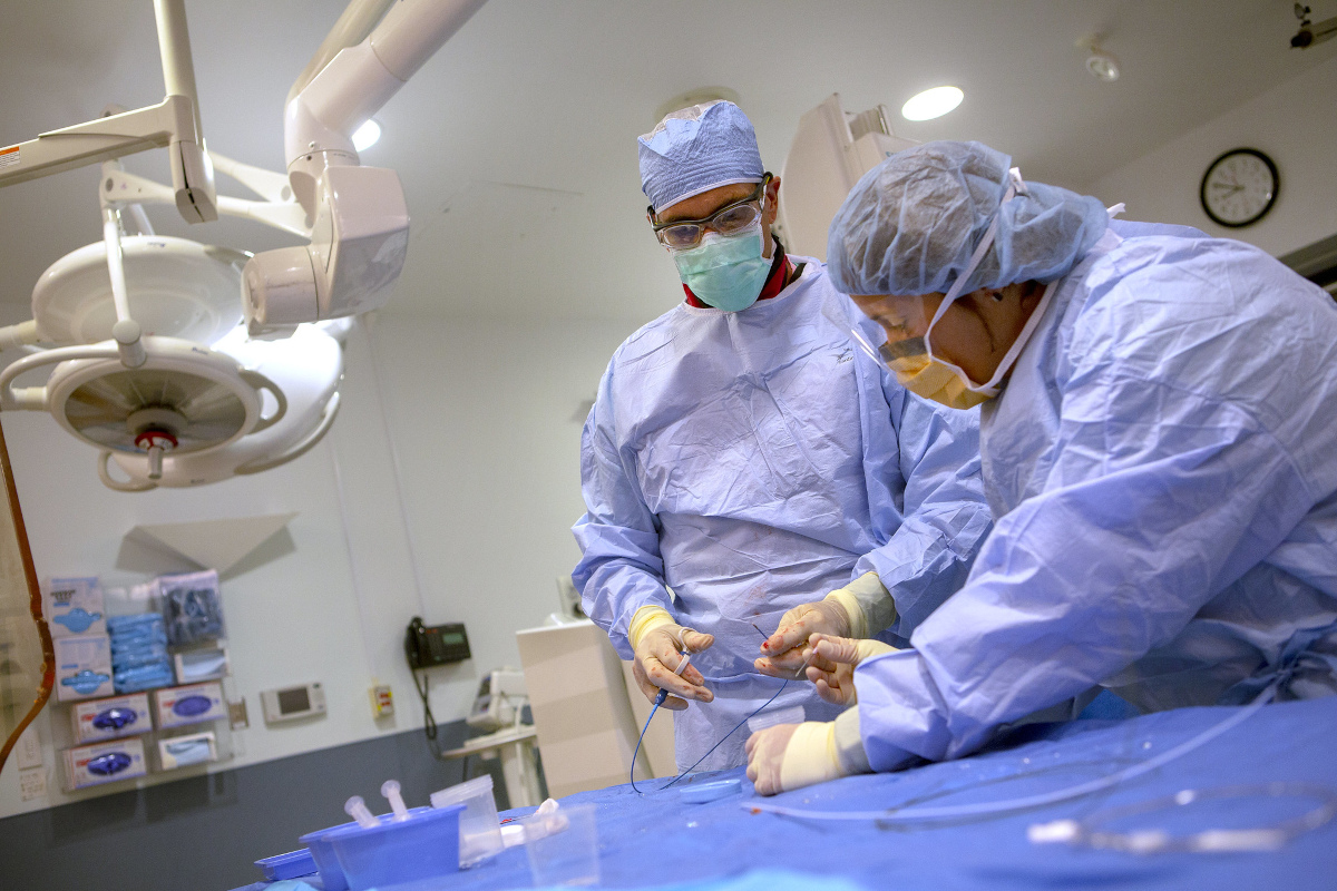 Two medical professionals wearing blue scrubs, facemasks and gloves perform a biopsy on a heart transplant patient at Penn State Health Milton S. Hershey Medical Center.