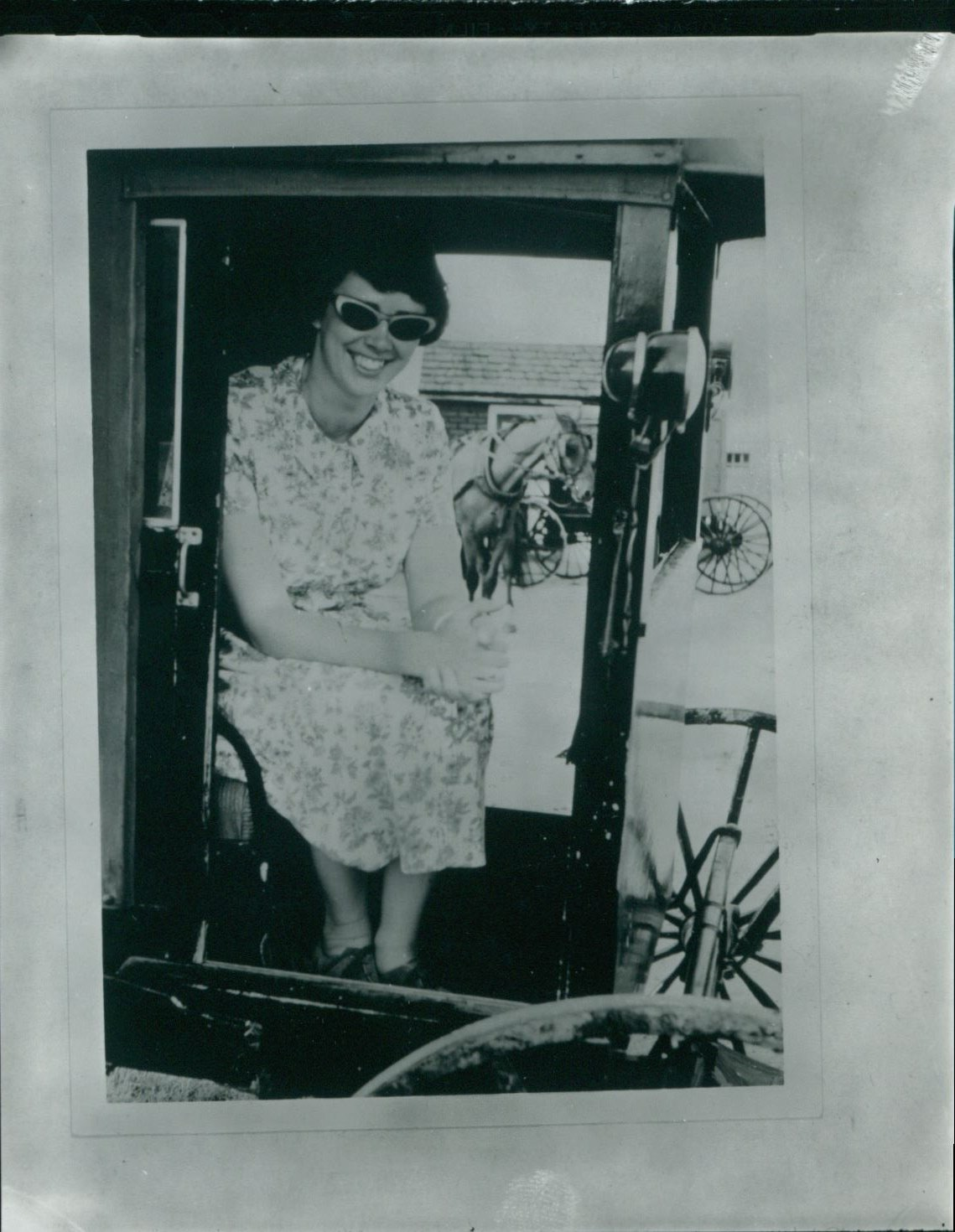 Janice Egeland is seated in a buggy