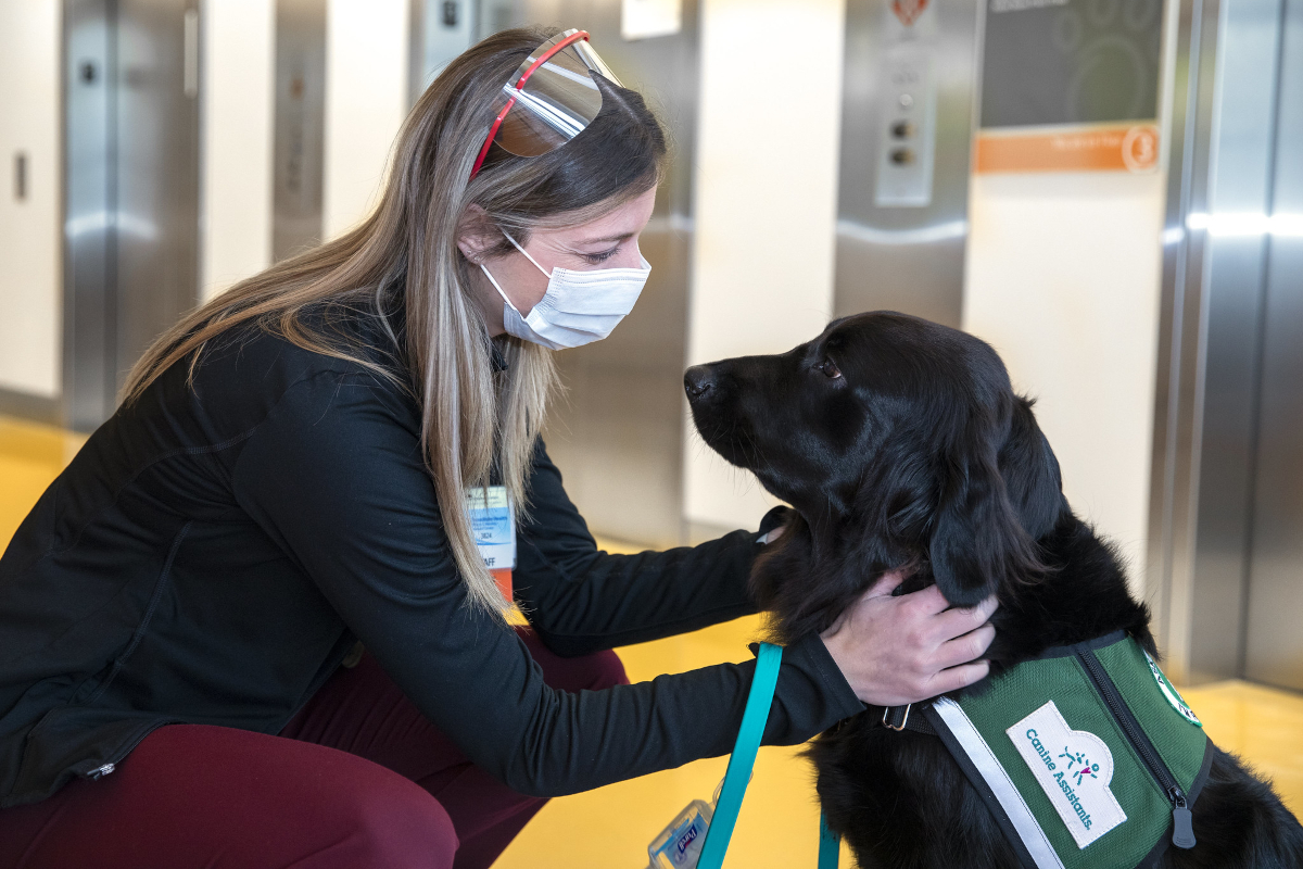 Stacy Gloudemans crouches down and places her hands on the back of Pilot, a facility dog, who wears a service vest. Elevators are in the background.