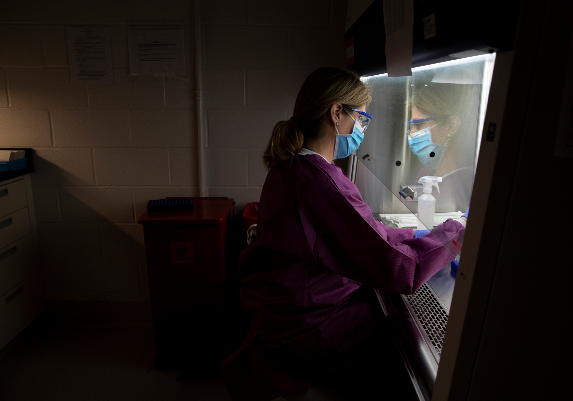A woman divides blood samples in a bio safety room into separate tubes to be stored for future research.