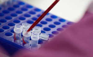 A close up of samples in a test tube