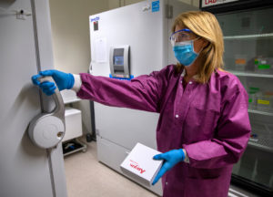 A woman stores blood samples in an ultra low freezer for future research.