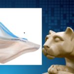 An image of a mask is superimposed over an image of the statue of the Nitanny Lion.